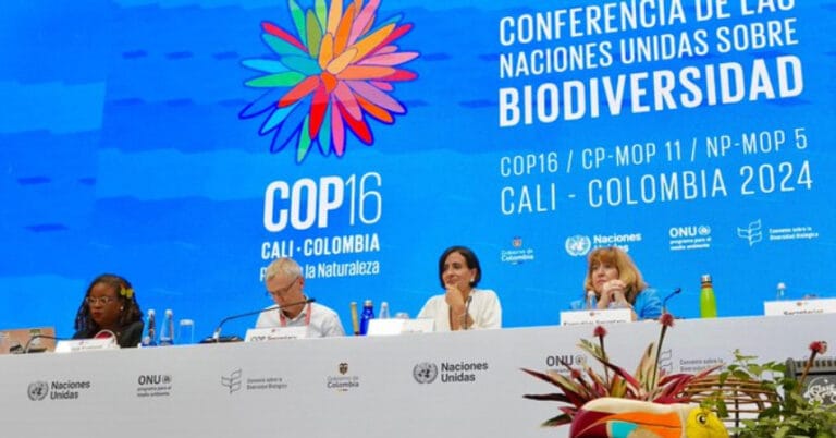 COP16 Biyoçeşitlilik Zirvesi’nde yerli halkları sevindiren iki anlaşma onaylandı