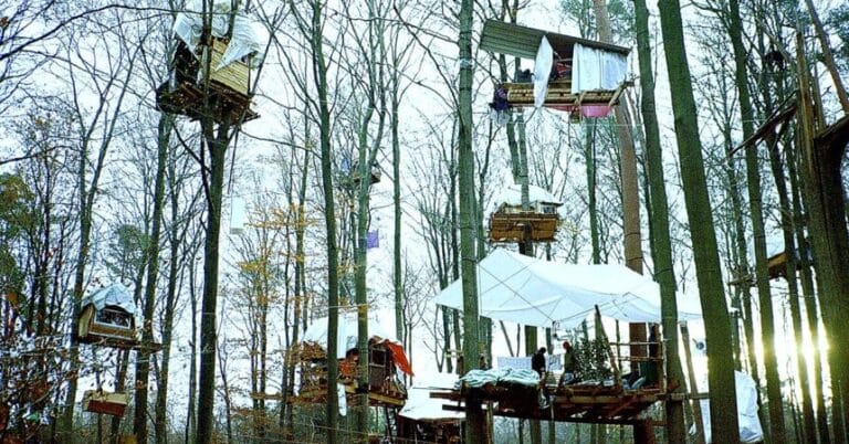 Tesla’nın Almanya’daki fabrika genişlemesine protestolar: Çevreciler ağaç evlerde direniyor