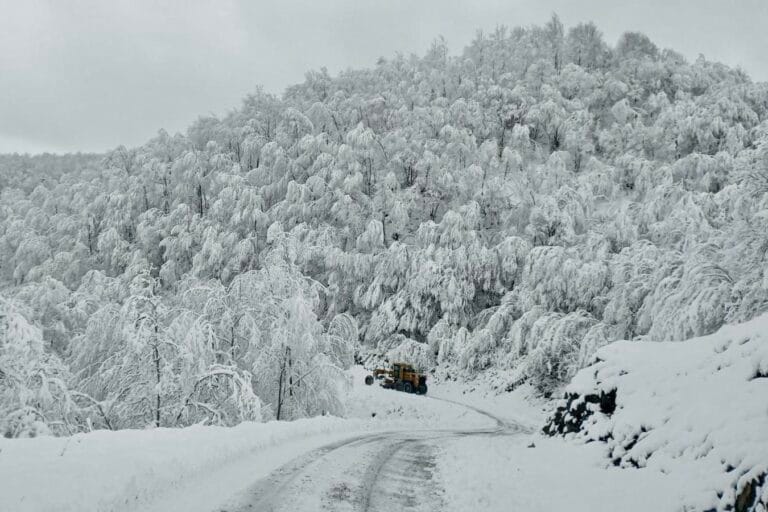 Doğu Karadeniz ve Doğu Anadolu kar yağışlı! Batıda sıcaklıklar artıyor
