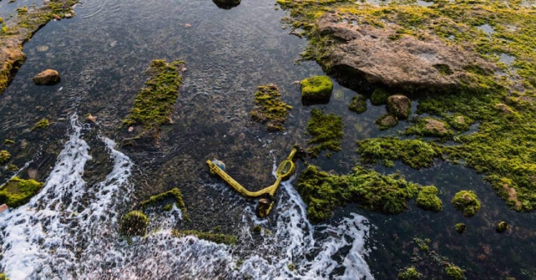 Atık Su Nedir? Neden Oluşur ve Geri Dönüştürülebilir mi?