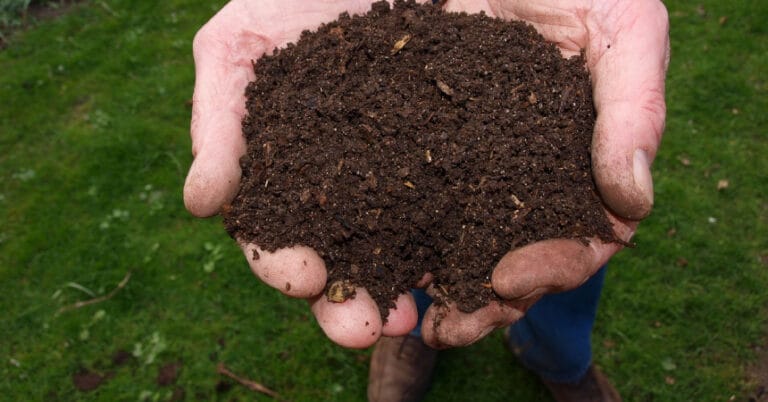 Biogübre nedir? Nasıl üretilir? Nerede kullanılır?