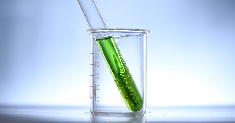 Bioyakıt Nedir? Nasıl Üretilir? Nerelerde Kullanılır?