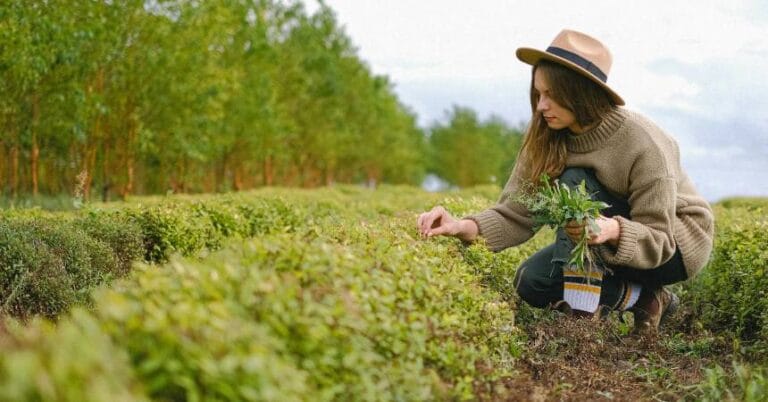 AB’nin yeşil tarım hedefleri çiftçilerin tepkisiyle karşılaşıyor