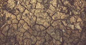 Türkiye’nin Çölleşmeyle Mücadele Stratejisi COP16’da duyuruluyor