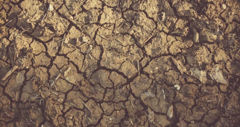 Türkiye’nin Çölleşmeyle Mücadele Stratejisi COP16’da duyuruluyor