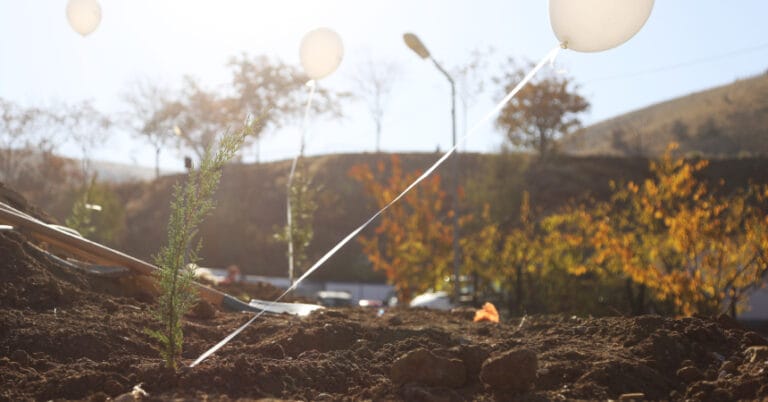 Çankaya’da fidanlar “Milli Ağaçlandırma Günü” için dikildi