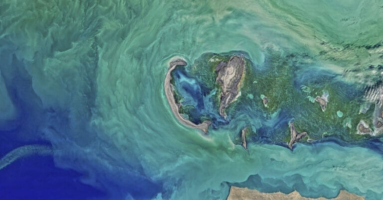 Levent Kurnaz: Hazar Denizi tarımsal uygulamalar değiştirilmezse kuruyacak