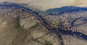 Türkiye’nin iklim değişikliği yol haritası COP29’da açıklanacak