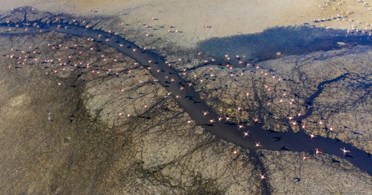 Türkiye’nin iklim değişikliği yol haritası COP29’da açıklanacak