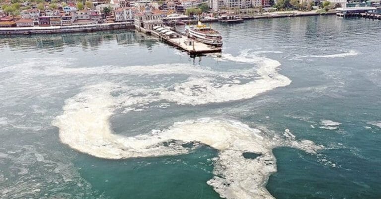 Prof. Sarı uyardı: Marmara ‘beni kurtarın’ diye feryat ediyor