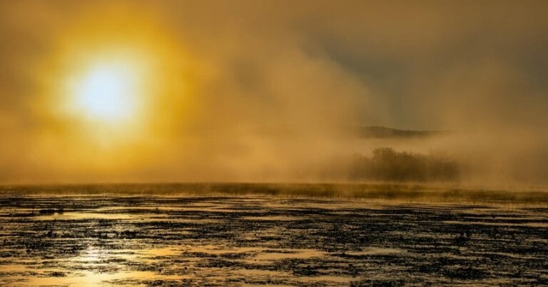 Bilim insanları güçlü bir sera gazının neden yükseldiğini bulmuş olabilir