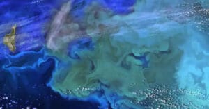 Küçük balık büyük balığı yutacak! Planktonların yok oluşu deniz ekosistemini tehdit ediyor