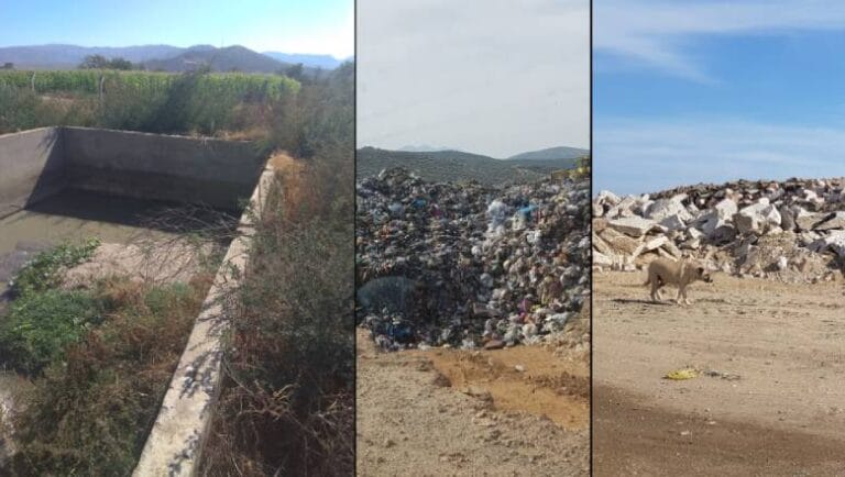 İzmir Büyükşehir Belediyesi’ne 4 milyon TL’lik çevre cezası