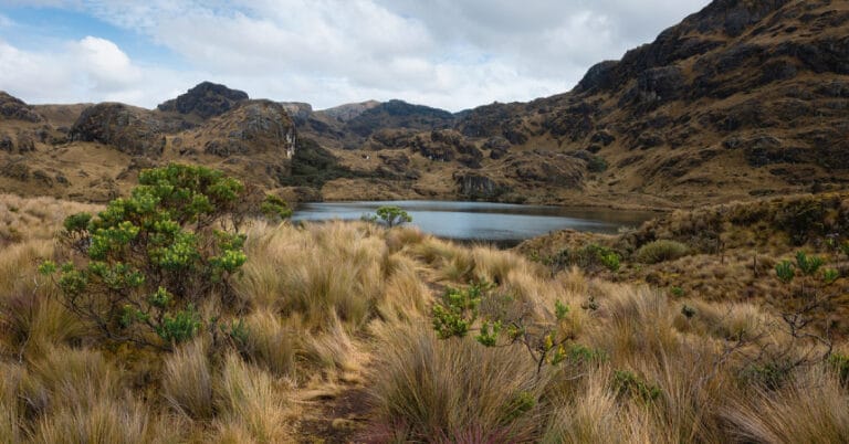 Sulak Alan Nedir? Neden Önemlidir?