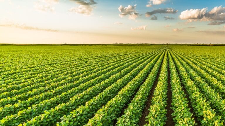 10. Sürdürülebilir Gıda Zirvesi başladı