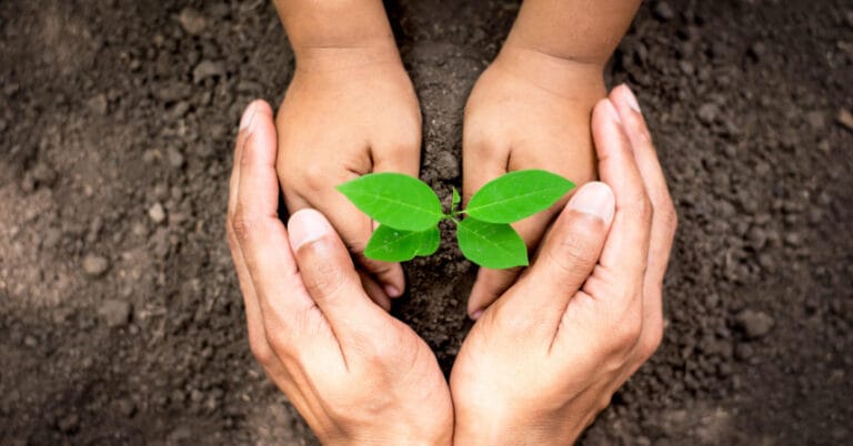 TEMA Vakfı: Toprak bozulumu gezegenin sağlığını tehdit ediyor