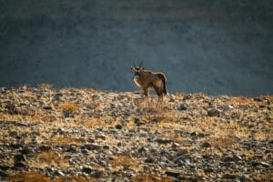 Dünya genelinde kurak alanlar yüzde 40’a ulaştı: Su ve toprak krizinde alarmlar çalıyor