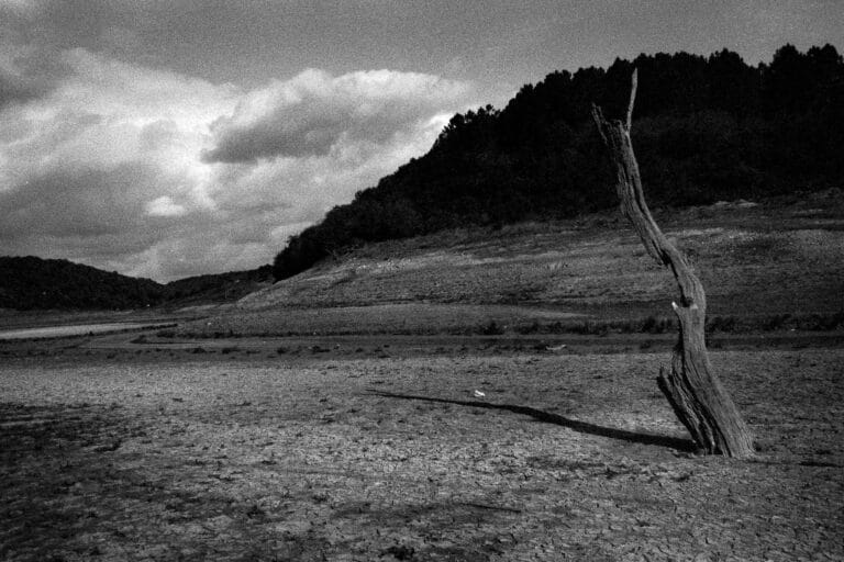 Türkiye iklim değişikliği performansında sınıfta kaldı! 63 ülke arasında 53’üncü!: CCPI 2025 Raporu Değerlendirmesi