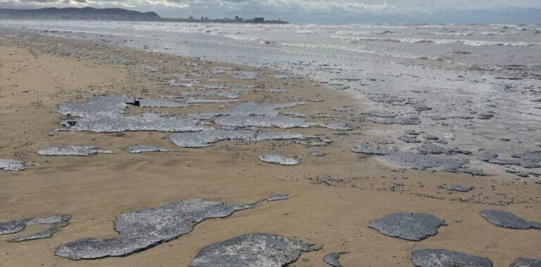 Krasnodar’da petrol kirliliği: Bölge çapında acil durum ilan edildi
