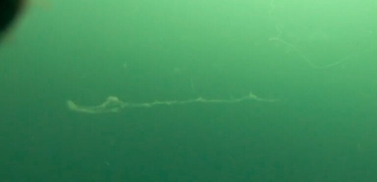 Müsilaj Ege Denizi’ne sıçradı!