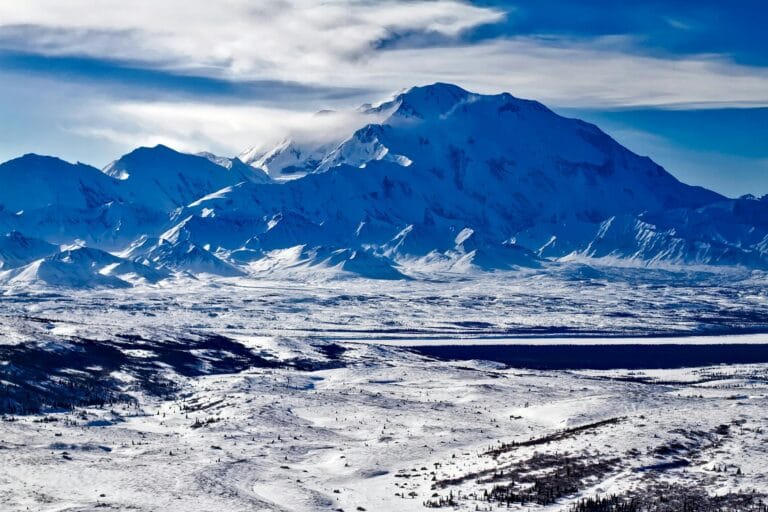 Arktik tundra karbon yutağından karbon kaynağına dönüştü