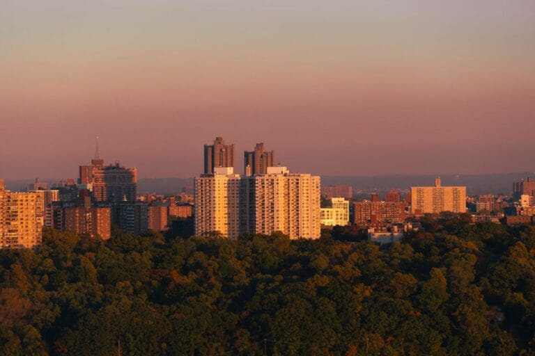 Mikro ormanlar: Nedir, nasıl oluşturulur ve faydaları nelerdir?