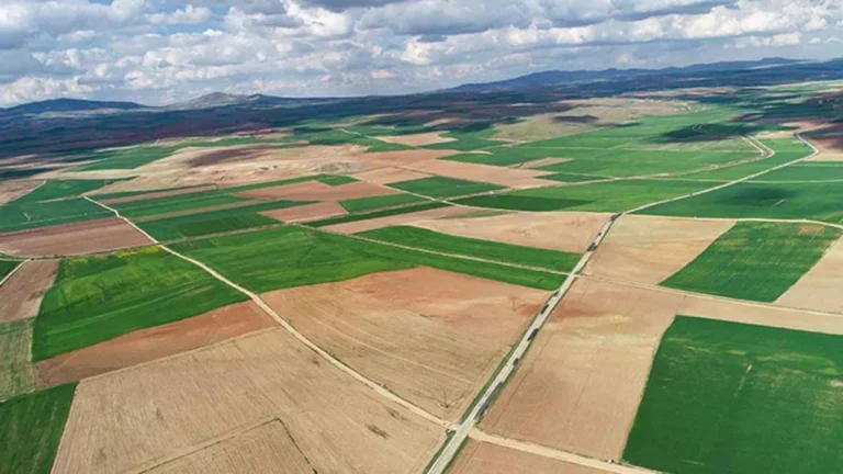 Türkiye 20 yılda 4,5 İstanbul büyüklüğünde tarım arazisini kaybetti