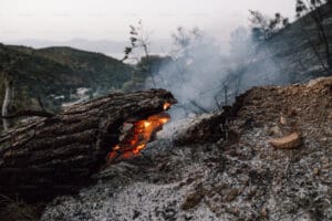 IPBES raporu: İklim değişikliğinde 5 temel sorun için ortak çözüm üretilmeli