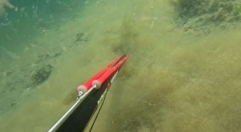 Büyükçekmece’de denizin dibinde korkutan müsilaj manzarası