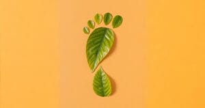 Çevresel ayak izinizi azaltmanın yolları: Küçük adımlarla büyük değişimler