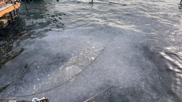 Marmara Denizi’ne atık su deşarjı nedeniyle İSKİ ve BUSKİ’ye 4,6 milyon liralık ceza