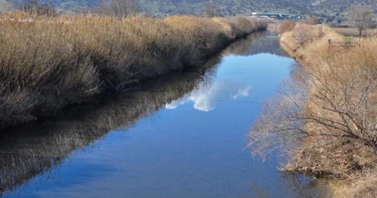 2025 yılı Gediz yılı! Bakanlıktan açıklama