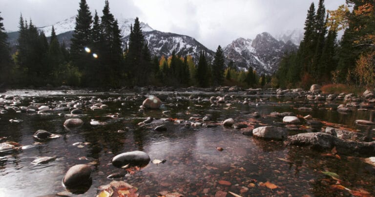 Tatlı su hayvanlarının dörtte biri yok olma tehlikesiyle karşı karşıya
