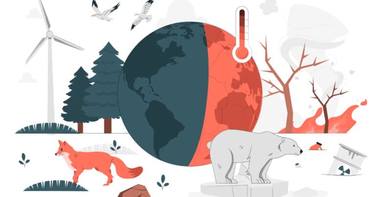 Dünya Meteoroloji Örgütü: 2015-2024 kayıtlara geçen “en sıcak 10 yıl” oldu