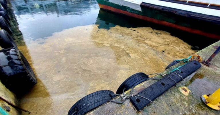 12.5 milyon kişinin atığı arıtılmadan Marmara Denizi’ne akıyor