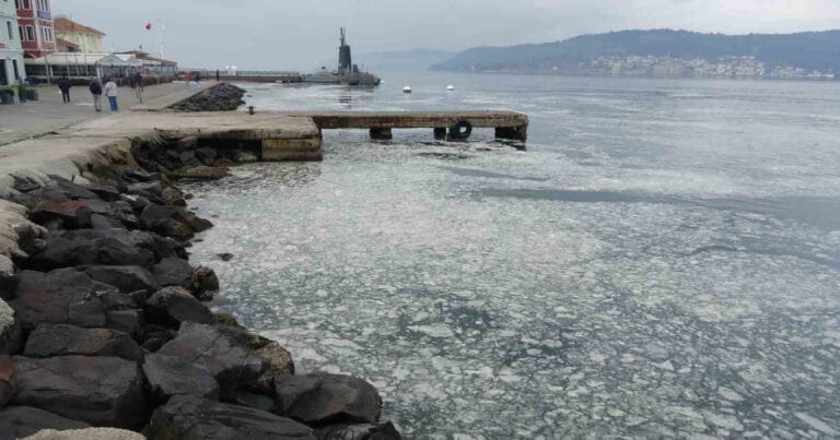 Müsilaj nedir, neden oluşur ve nasıl önlenir?
