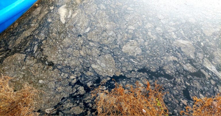 Müsilaj Marmara ve Çanakkale’yi yeniden kaplamaya başladı