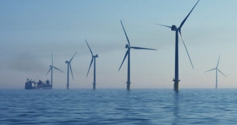 Rüzgar santralleri mi, petrol sondajı mı? Yaban hayatı için daha büyük tehdit hangisi?