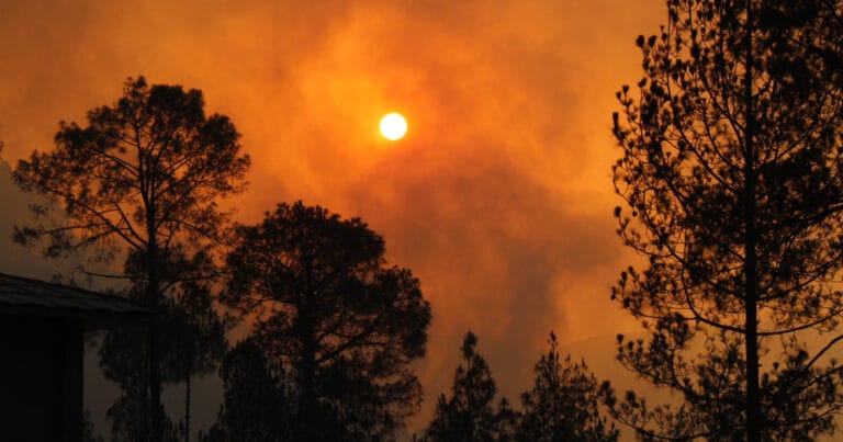 Kayıtlara geçen en sıcak yıl 2024: 1,5 derece sınırı aşıldı! “Bunlar daha iyi günler”