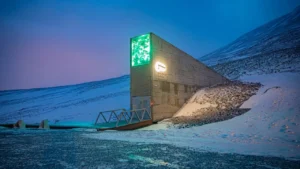 Norveç’teki tohum bankası gelecek nesiller için güvence mi?