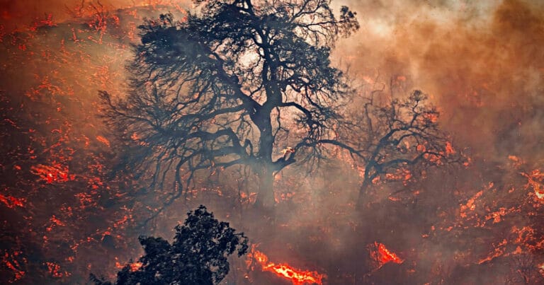 Yangınların yaralarını sarmaya çalışan Los Angeles, zehirli yağmur tehlikesiyle karşı karşıya