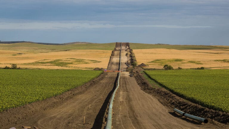 Greenpeace iflas riskiyle karşı karşıya! 300 milyon dolarlık tazminat davası