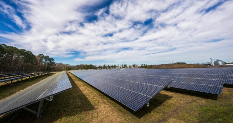 Enerjisa 86 bin evin elektriğini güneşten sağlıyor