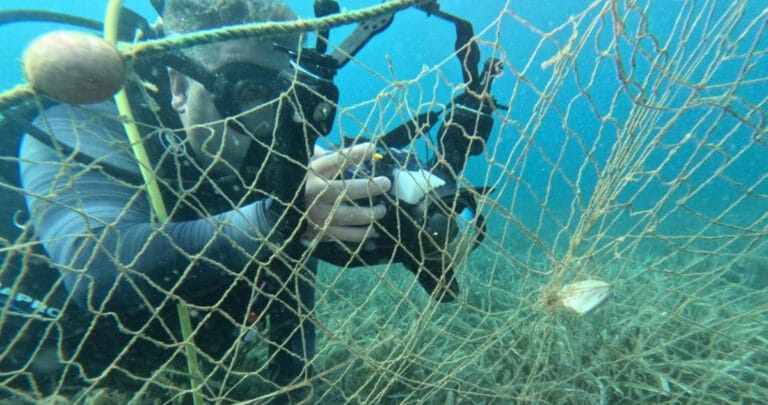 Denizlerden geçen yıl 224 futbol sahası büyüklüğünde hayalet ağ çıkarıldı