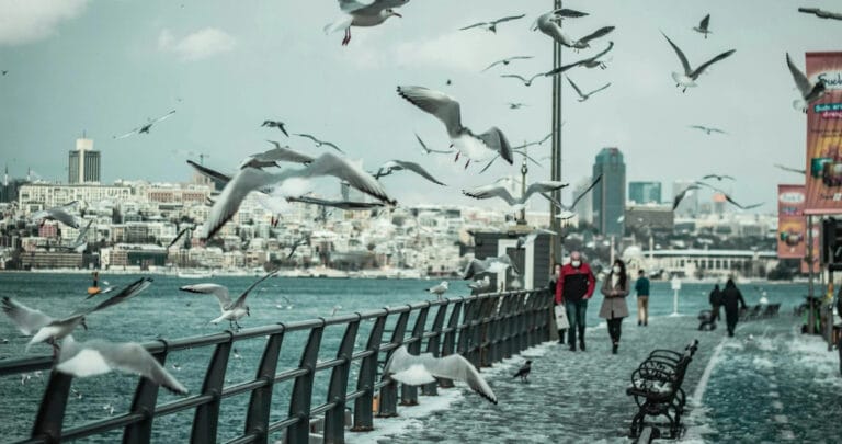 Kar yağışı devam ediyor! Bu bölgelerde etkili olacak