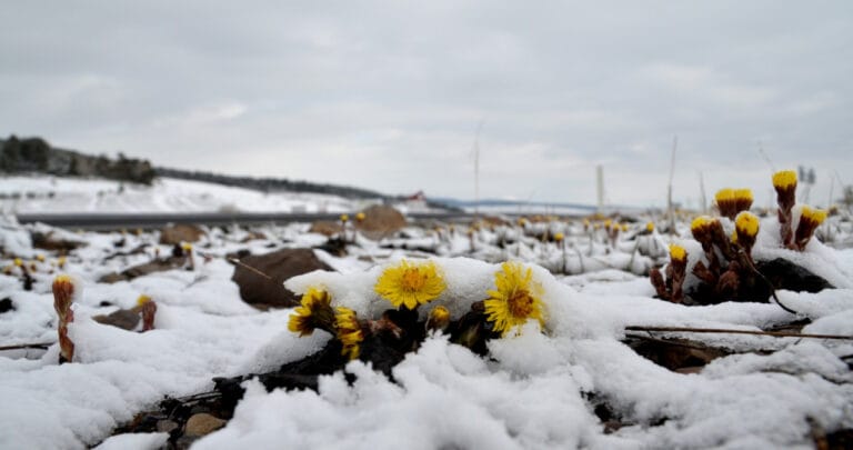 Kar ve sağanak yağmur etkili olacak