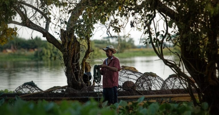 Yeşil İklim Fonu, 687 milyon dolarlık yeni yatırımı onayladı