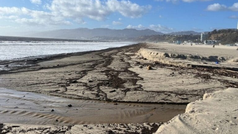 Los Angeles’ın simge plajları yangınlardan sonra tanınmaz halde