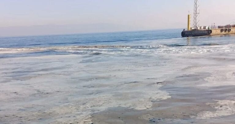 Mudanya’da ağlara balık yerine müsilaj takıldı