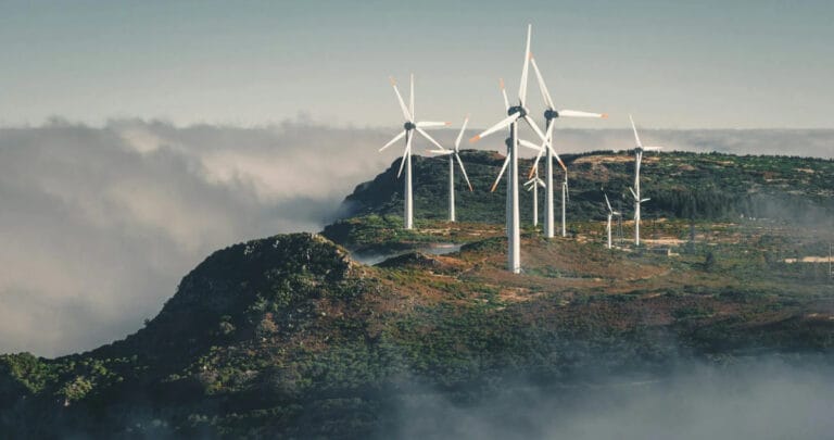Karbon yakalama, yenilenebilir enerjiye geçişten daha maliyetli